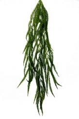 030 Veštaćke lozice